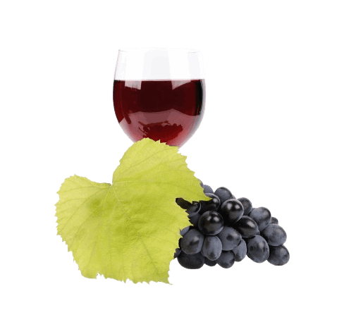 vinhos